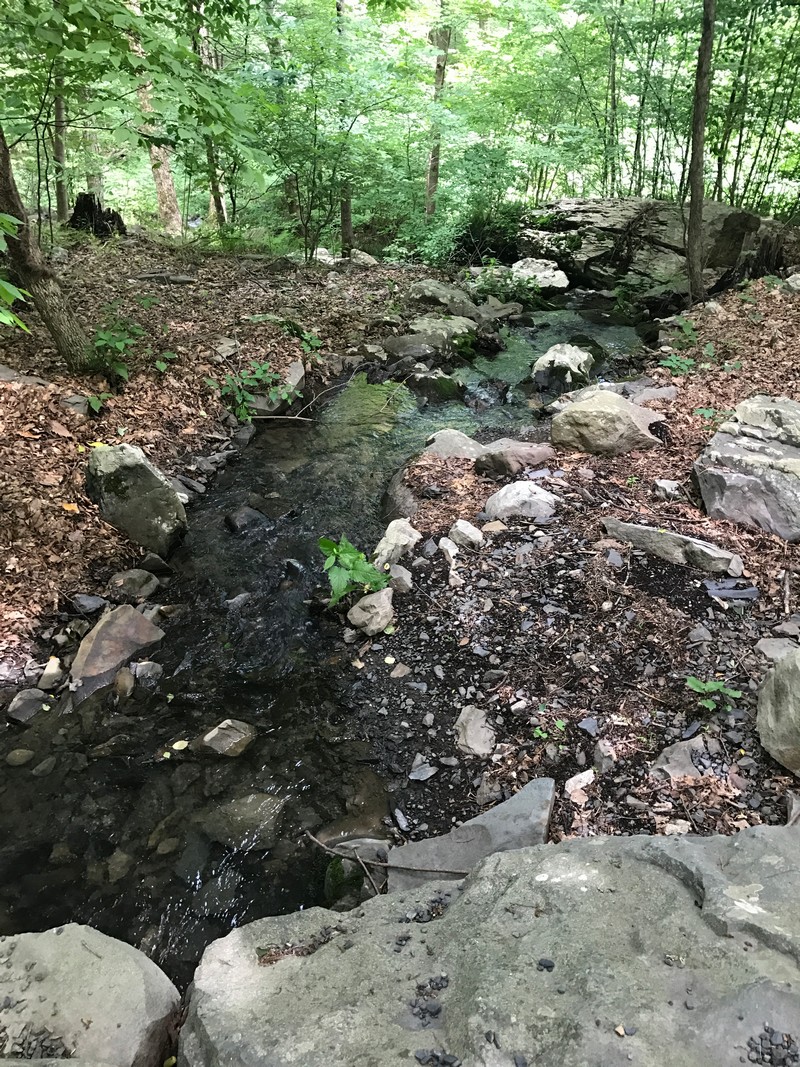 Creek-in-the-woods-on-the-Campground-Property